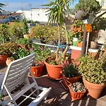 La Terrazza Ai Miracoli فندق مبيت وإفطار 4*