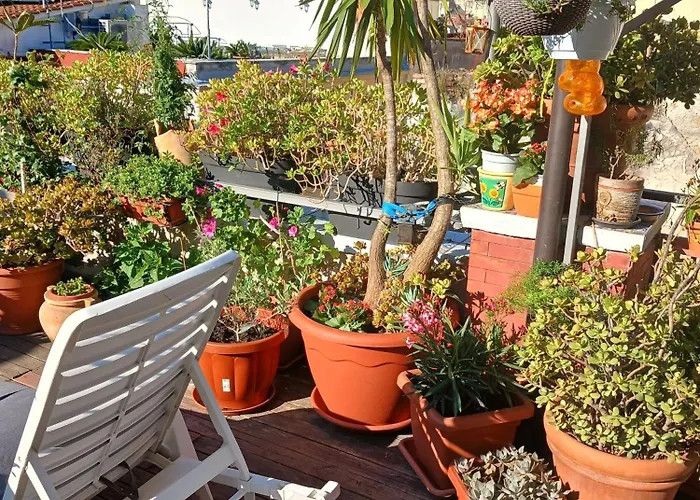 La Terrazza Ai Miracoli 住宿加早餐酒店 4*